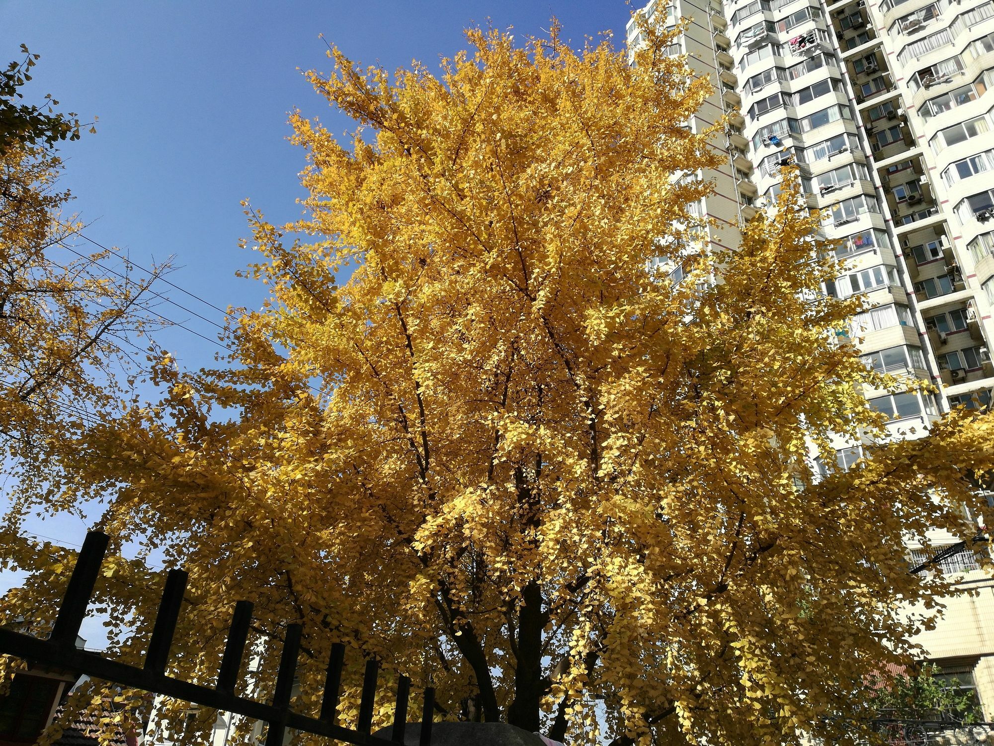 Shanghai Chi Chen Boutique Hotel מראה חיצוני תמונה