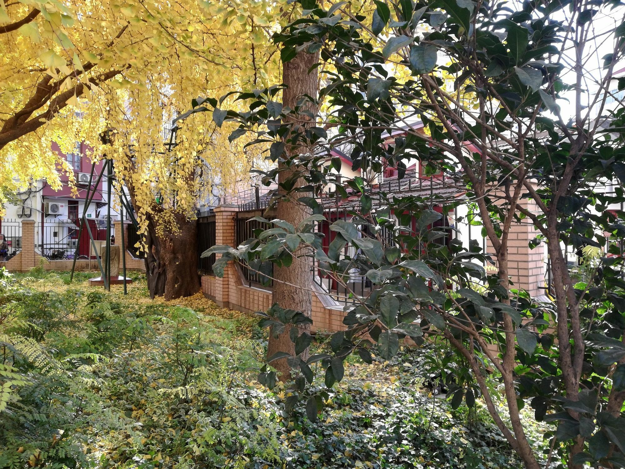 Shanghai Chi Chen Boutique Hotel מראה חיצוני תמונה